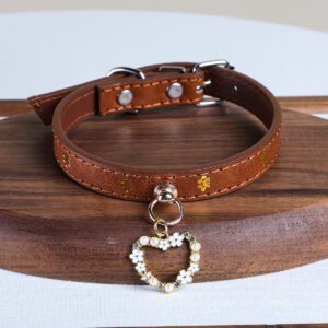 pet dogs, cats, small dogs, and puppies go out for casual and fashionable adorable accessories with pendants and collars